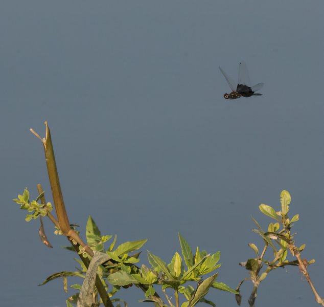 PA015794-Bearbeitet.jpg PA015794-Bearbeitet.jpg