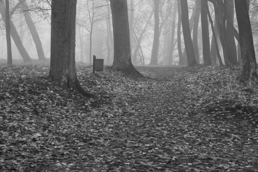 Limburg_Hardenburg_UR_131213_0084.webp