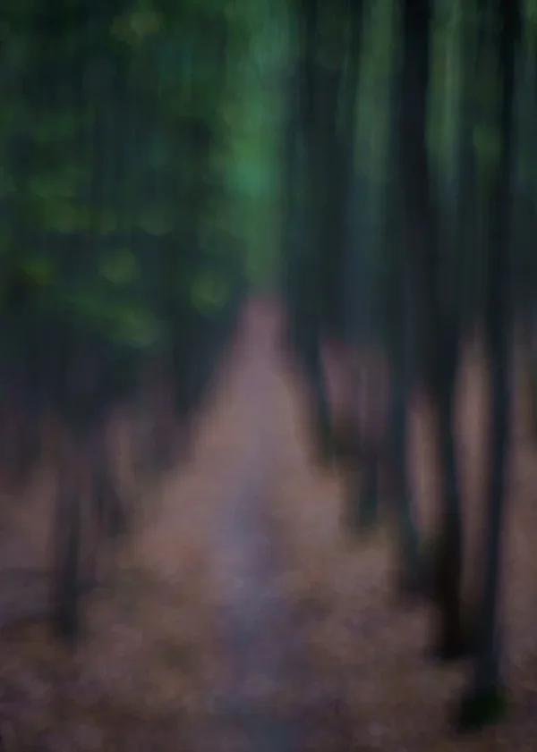 ci_A7307992.jpg