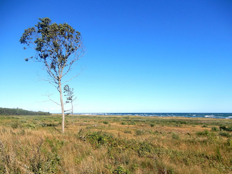 003 Dänemark Gjerrild.JPG