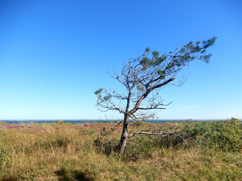 006 Dänemark Gjerrild.JPG