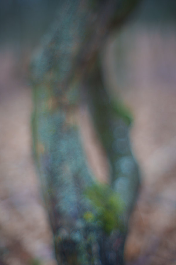 ci_A7400898.jpg