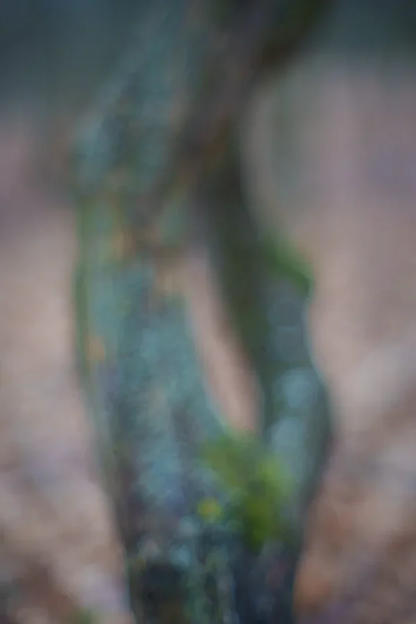 ci_A7400898.webp