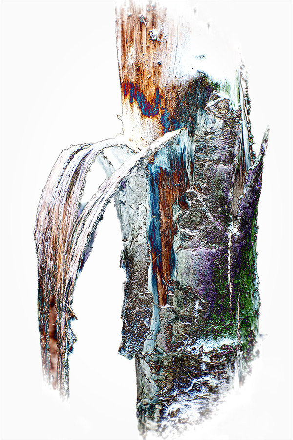 ci_A7400892_art.jpg