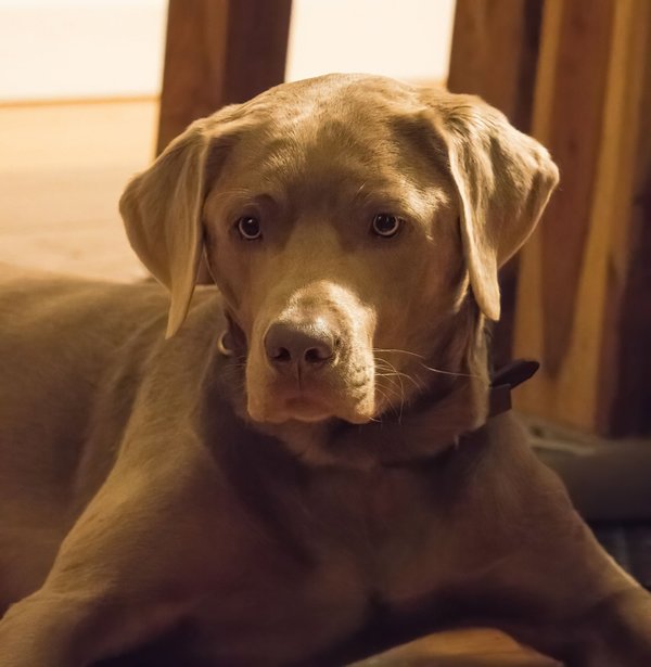 PC240918-topaz-denoise-sharpen.jpg PC240918-topaz-denoise-sharpen.jpg