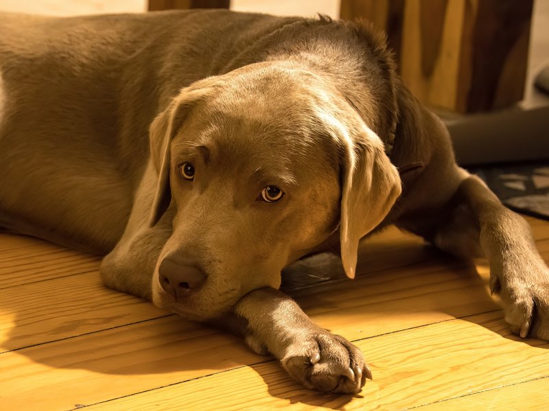 PC240950-topaz-denoise-enhance.jpg PC240950-topaz-denoise-enhance.jpg