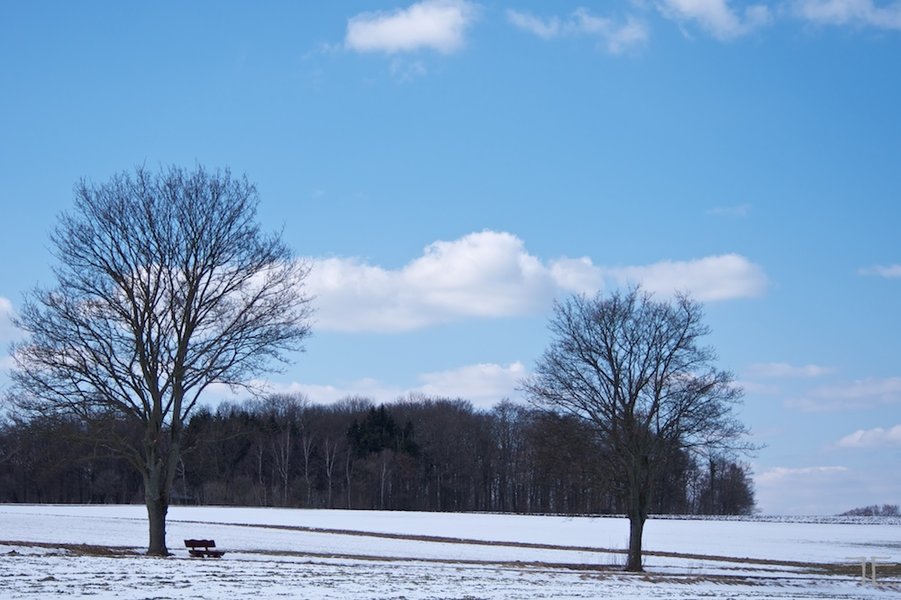 IMGP3745.jpg IMGP3745.jpg