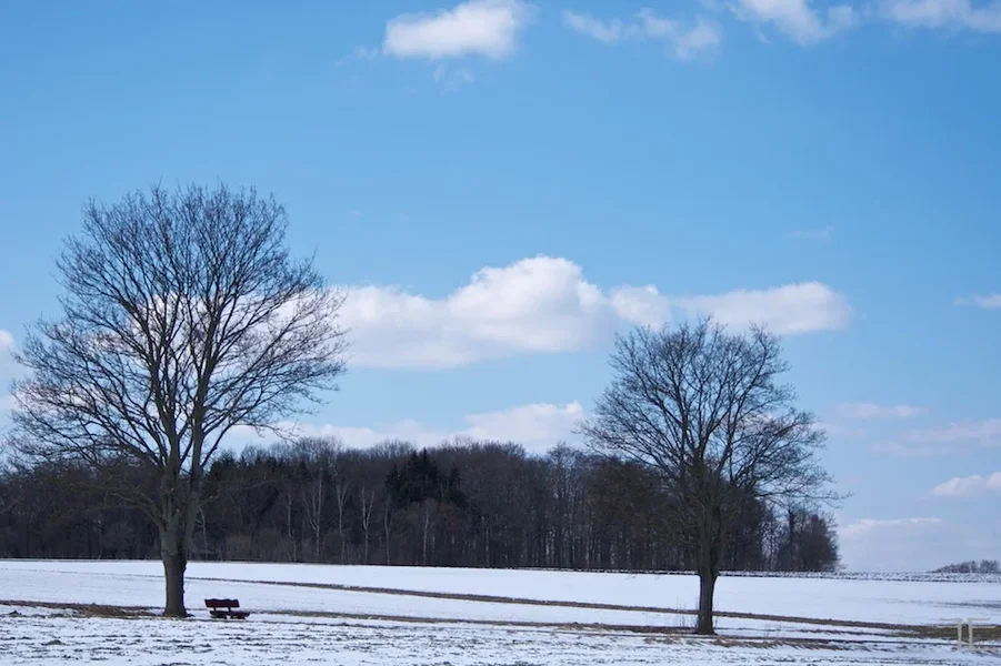 IMGP3745.webp