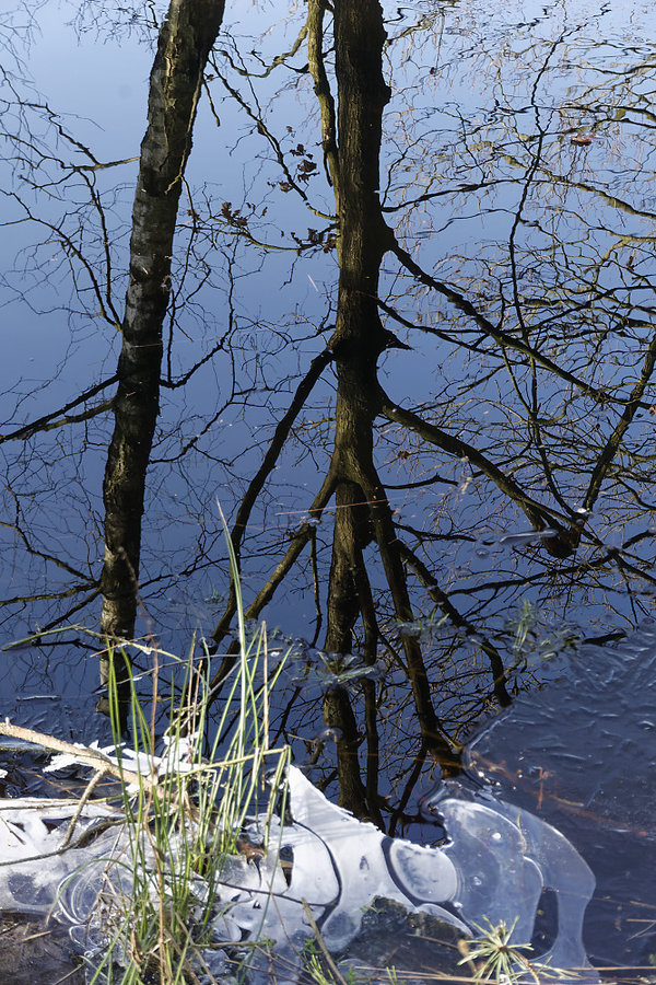 _DSC1925_1_DxO.jpg