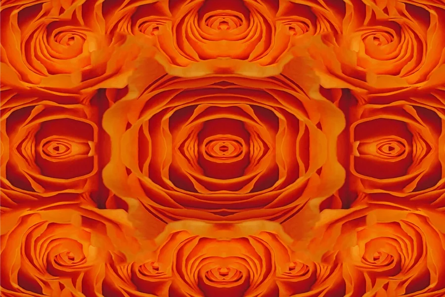 RoseeOrangeZentrumSL2Si105MacroFANTASYRECHTECKSYMMETRISCH_1500x1000.webp