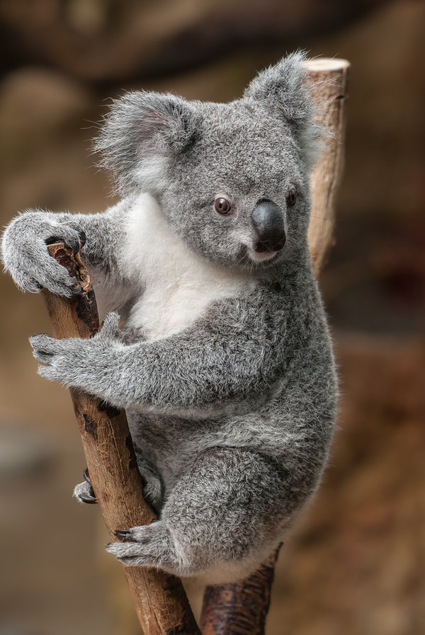Duisburg 21.05.08_0013_DxO.jpg