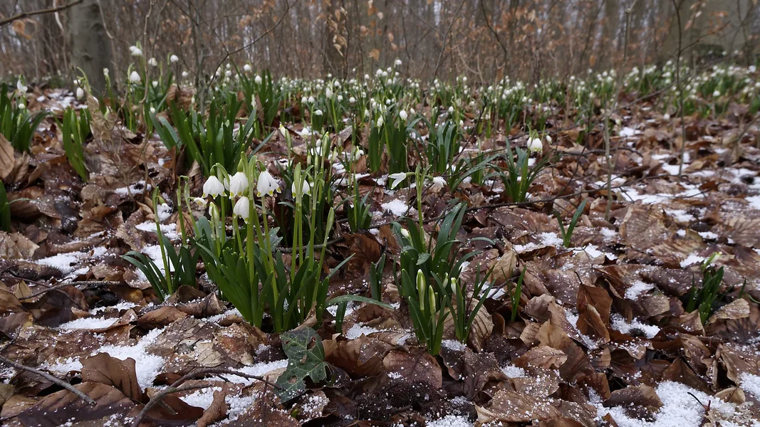 _IMG1462_DxO.webp
