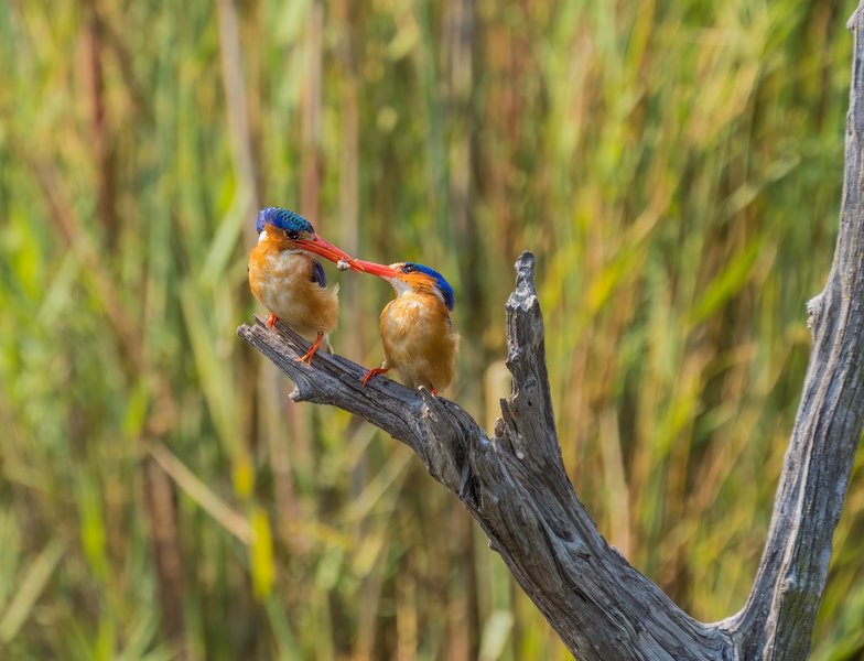 Lake Panic 20-Bearbeitet.jpg