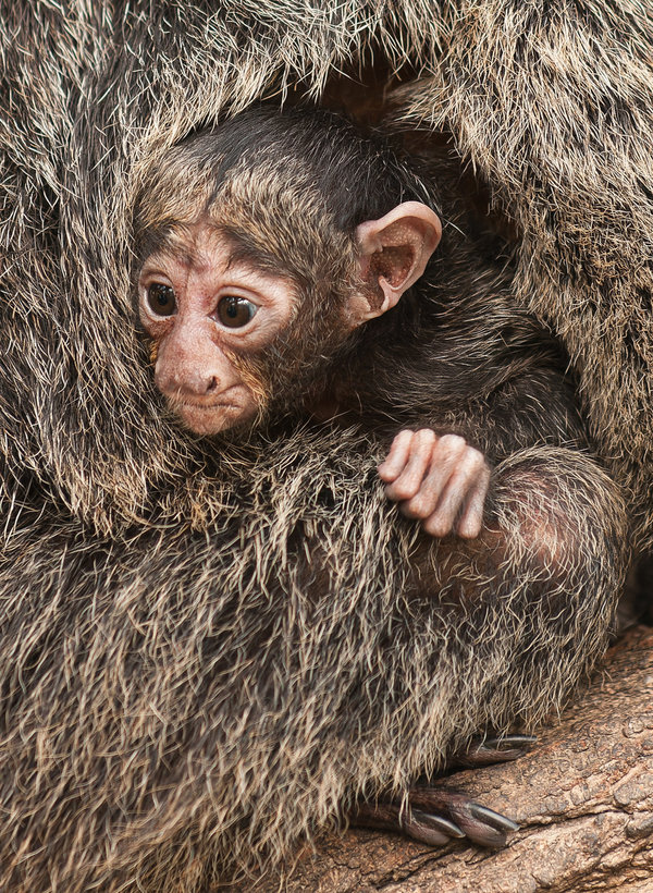 Krefeld 17.01.09_0002_DxO.jpg