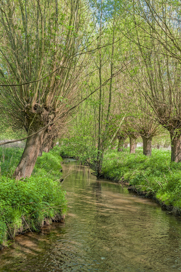 Zwischen Wanlo und Wickrath (47 von 170)_DxO.jpg