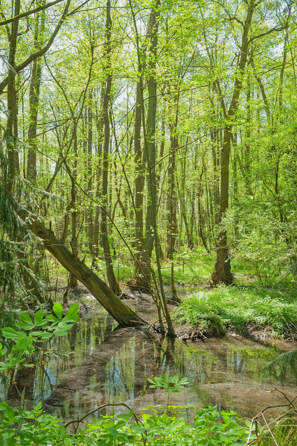 Zwischen Wanlo und Wickrath (123 von 170)_DxO.jpg