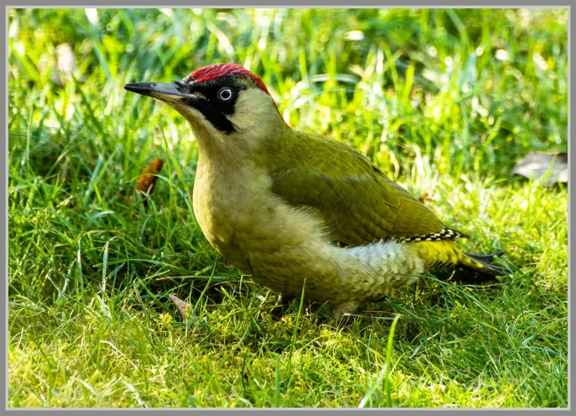 UMA_4853-Verbessert-RR.webp
