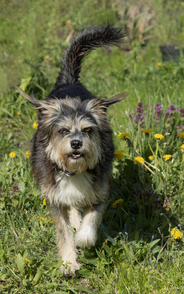 Roxy 2023-293_DxO-Bearbeitet.jpg