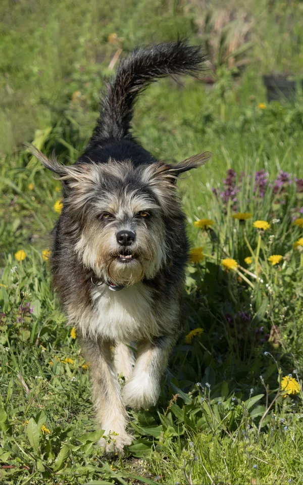 Roxy 2023-293_DxO-Bearbeitet.webp