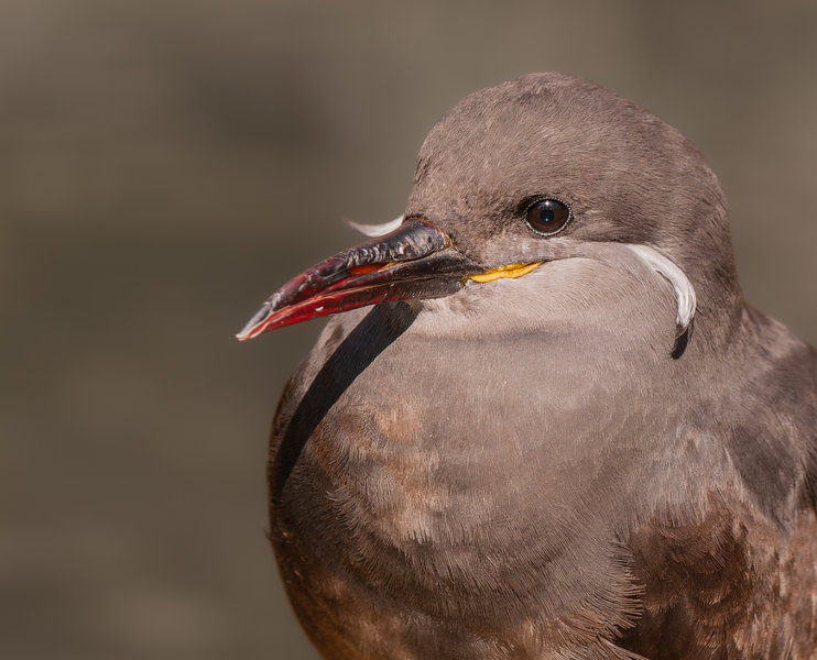 Krefeld 21.03.09_0035_DxO.jpg