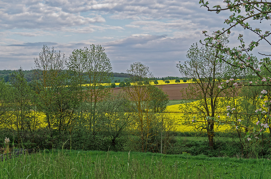 IMGP9591_DxO.jpg
