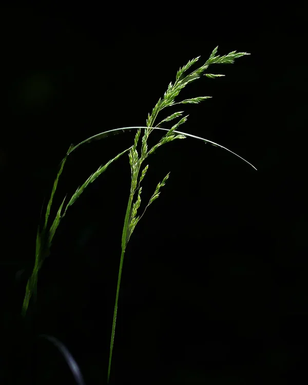 ci_A7402500.webp ci_A7402500.webp