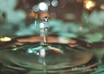 comp_DSC_7928.jpg