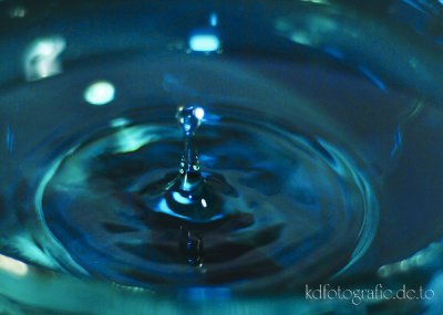 comp_DSC_7956.jpg