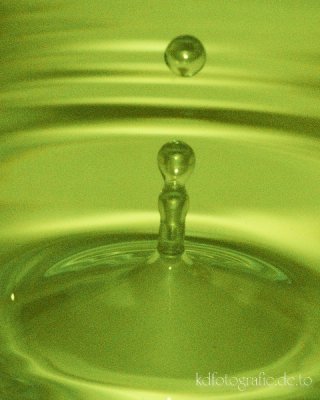comp_DSC_8078.jpg