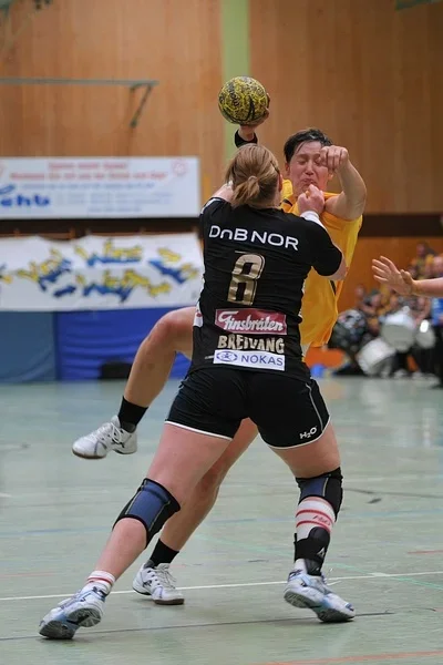 comp_PIC_9559.webp