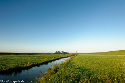 20110902-_HOF6966.jpg