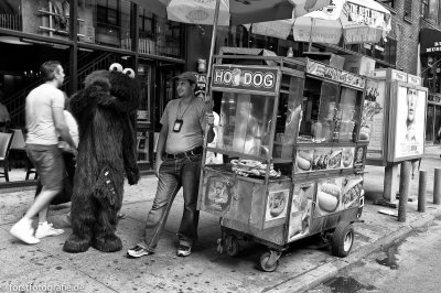 20110908-HOFL1003999_alt_.jpg 20110908-HOFL1003999_alt_.jpg