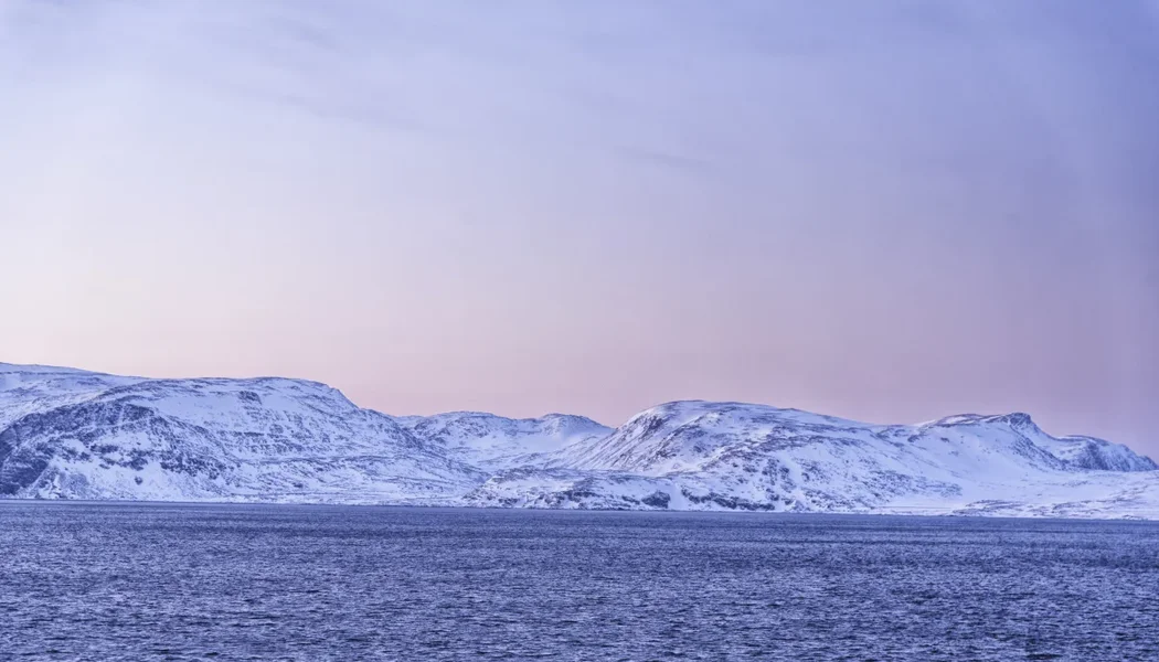 Hurtigruten 2016-476_Nik__CI.webp