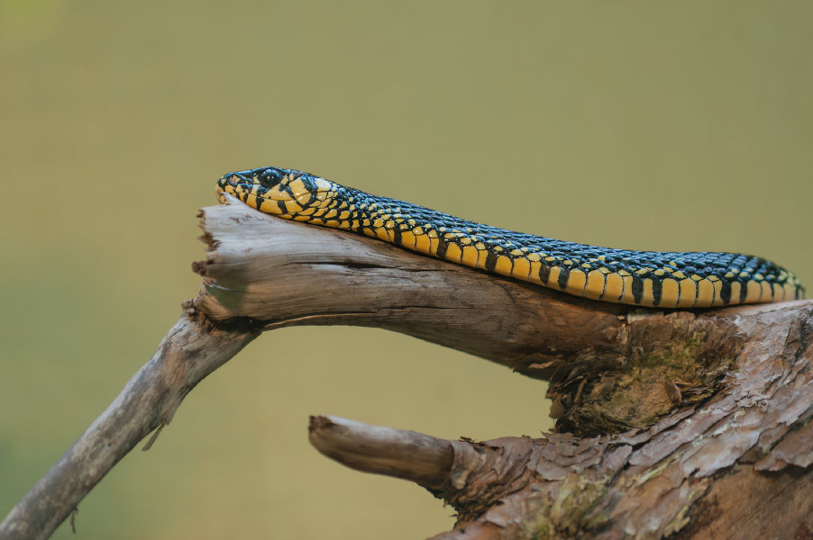 Dresden und Leipzig 2012_0332_DxO-Bearbeitet.jpg