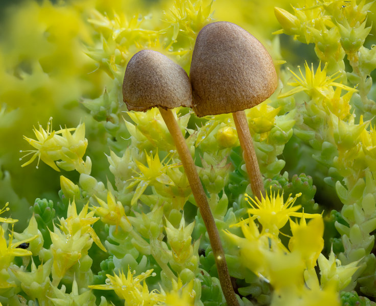 2023-06-21 14-25-43 (B,R8,S8)30-Bearbeitet.jpg