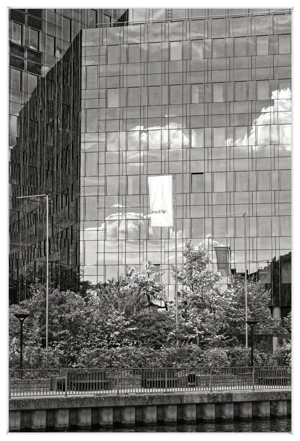_IMG7136_DxO.jpg