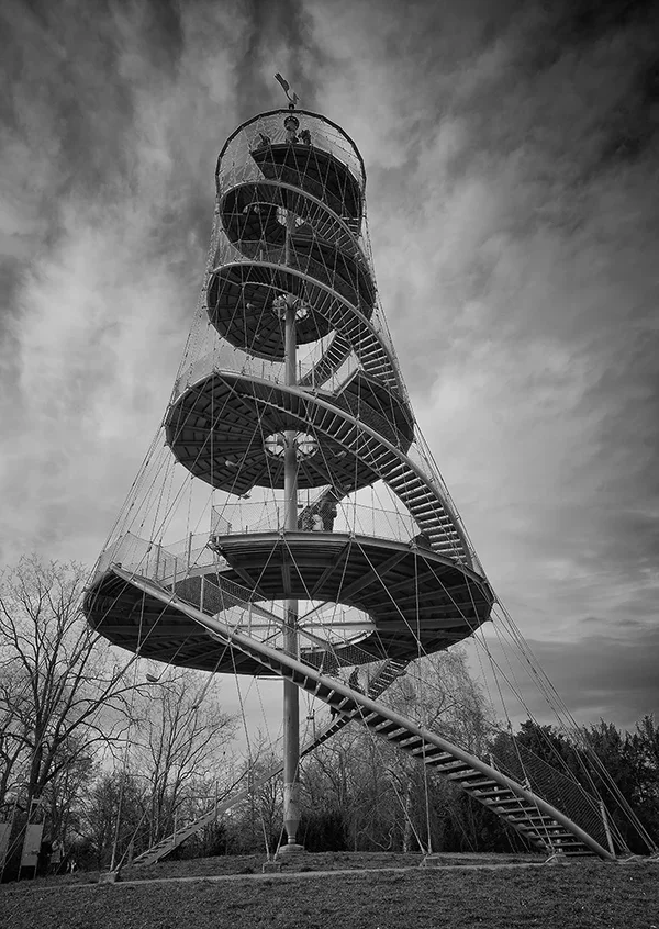 ci_A7401659_sep.webp