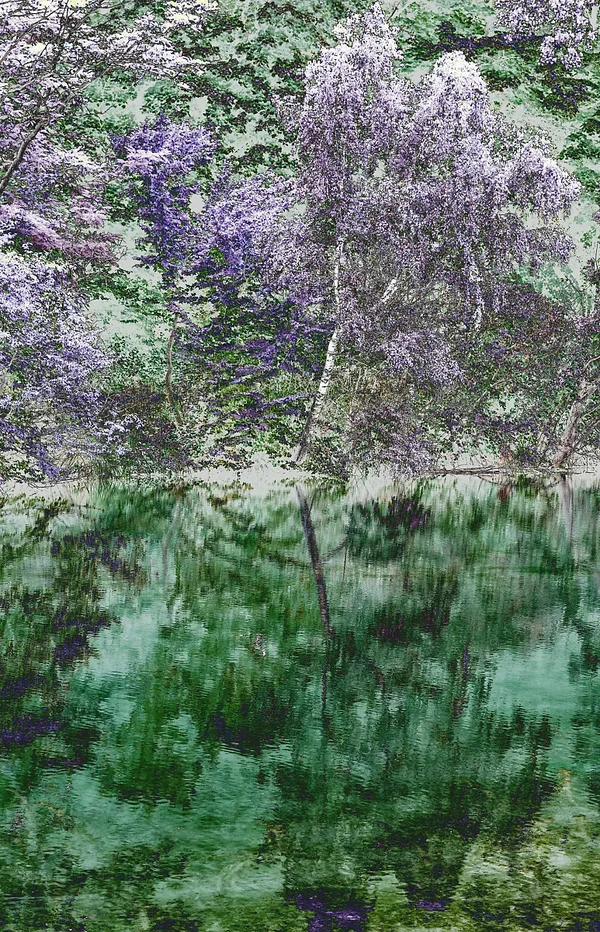 IMGP9038_Nik_DxO.jpg