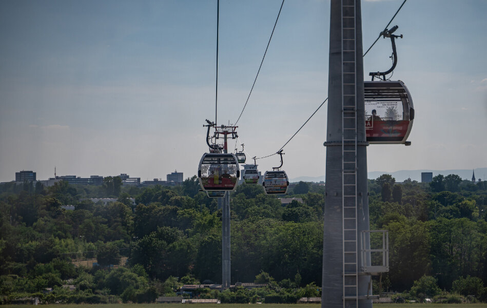 _DSC3110.jpg _DSC3110.jpg