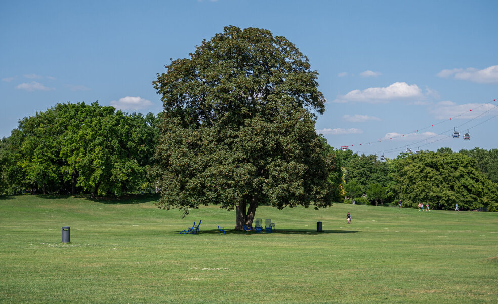 _DSC3114.jpg _DSC3114.jpg