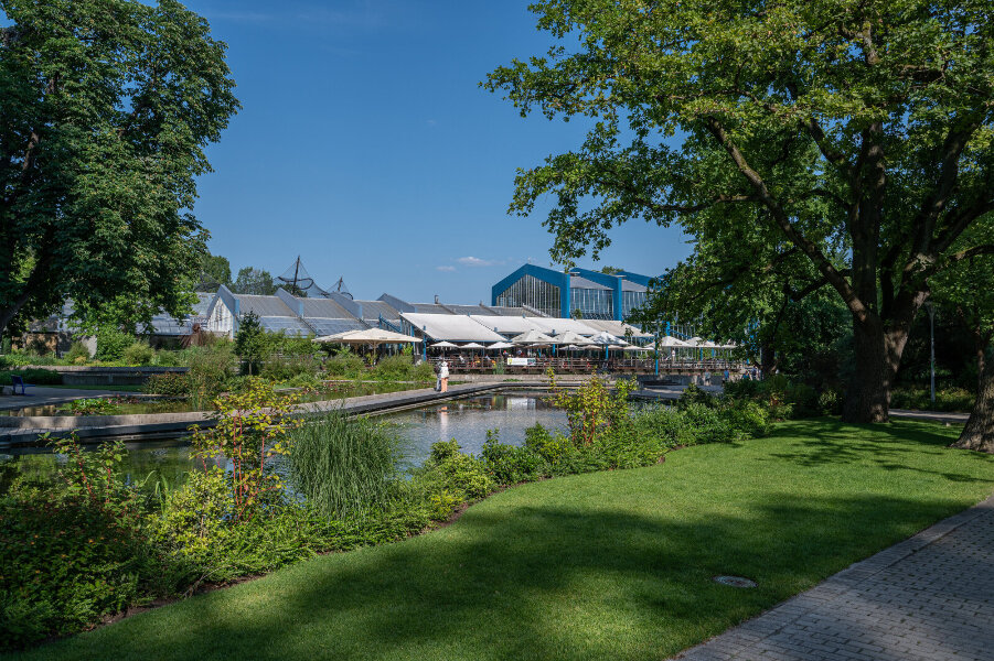 _DSC3116.jpg _DSC3116.jpg