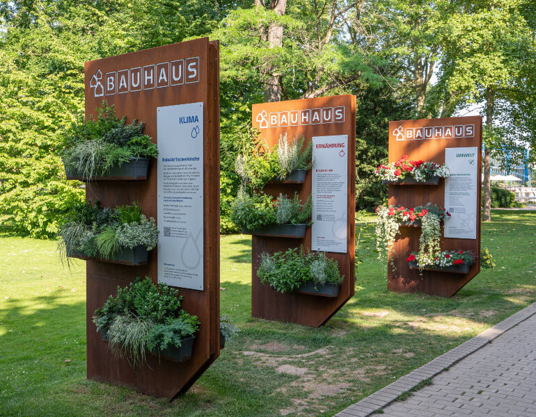 _DSC3117.jpg _DSC3117.jpg