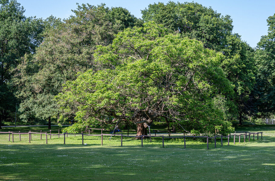 _DSC3118.jpg _DSC3118.jpg