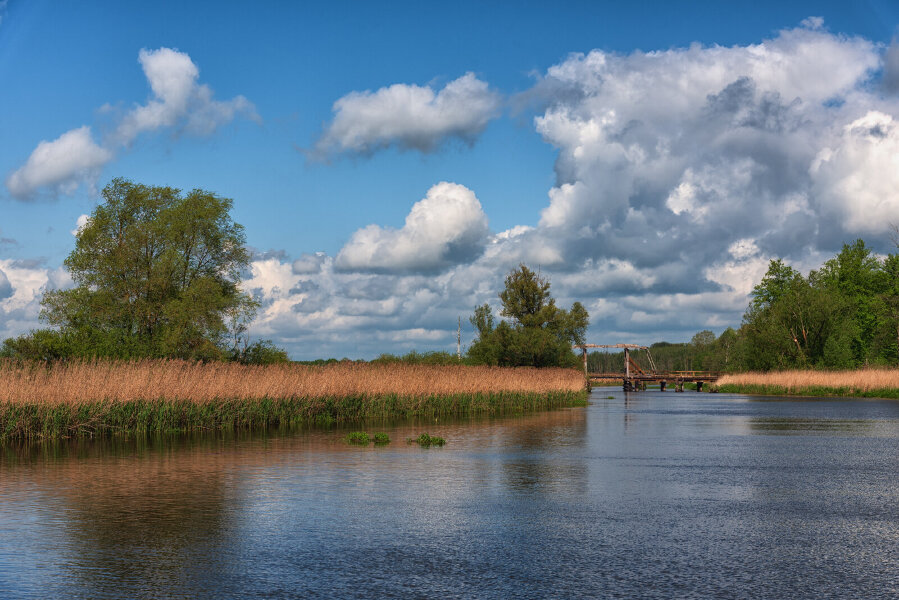 Nehringen Mai 2015_0001-Bearbeitet.jpg