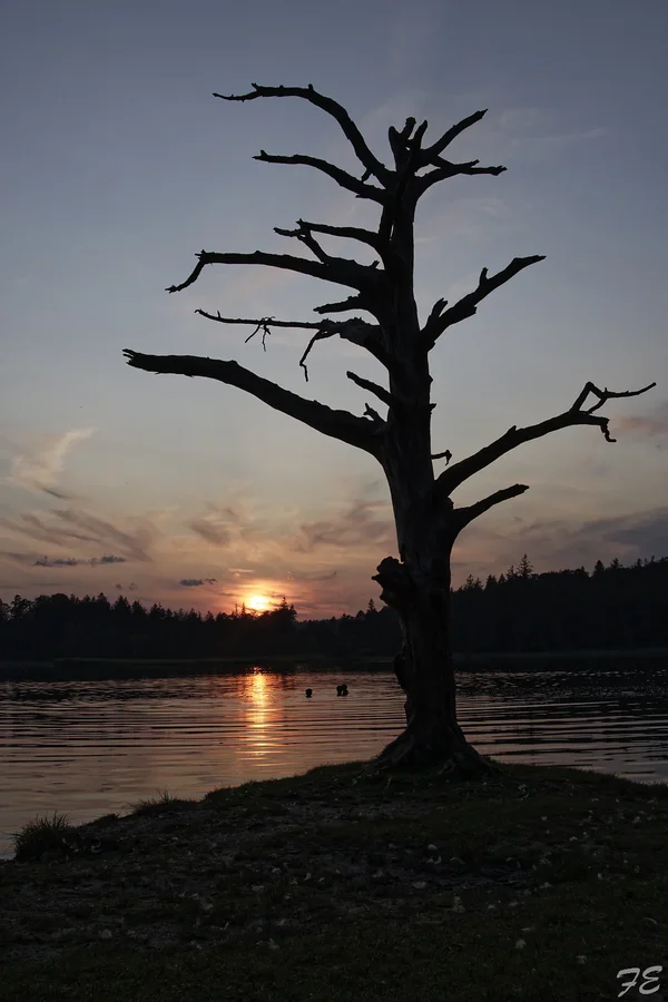 _IMG6080_DxO.jpg