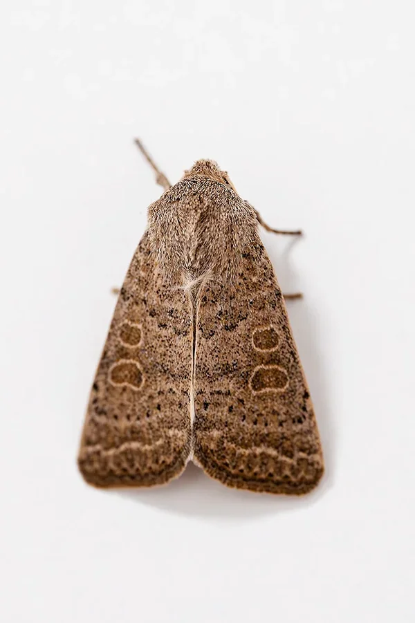 ci_A7405547-Verbessert-NR.webp