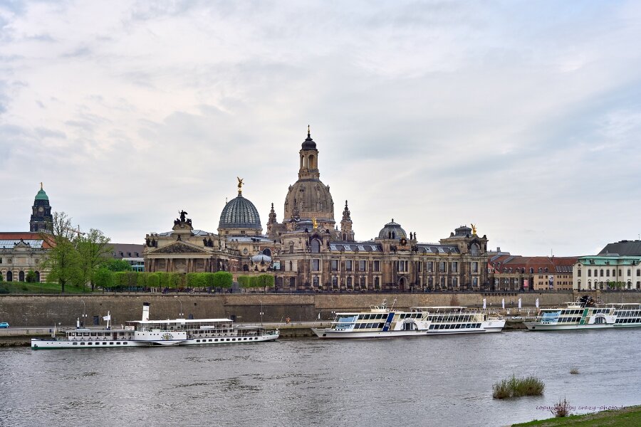 2023-05-02  OLYMPUS_55mm  MIT  50R_DSF0724 1.jpg