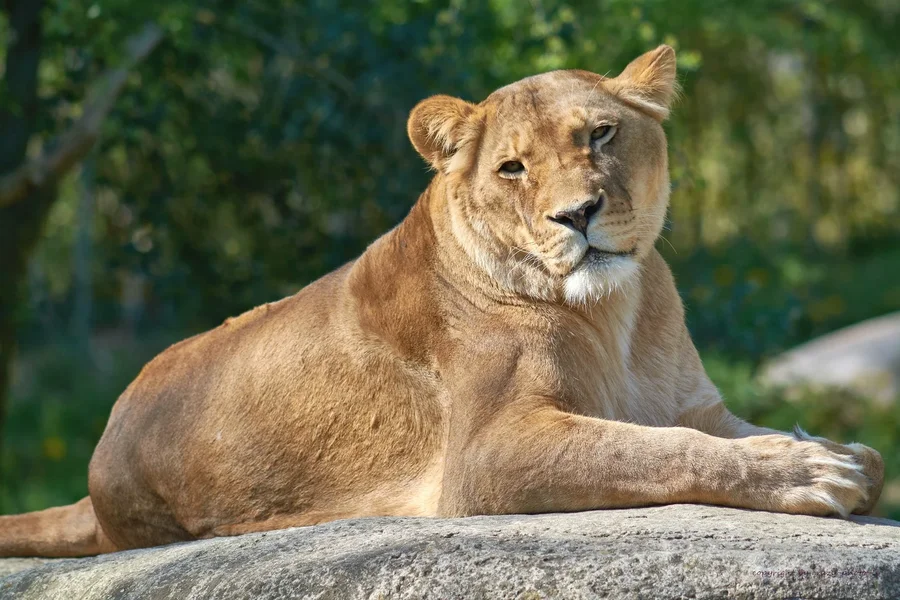 2023-04-21  ZOO-LE_C718391.webp