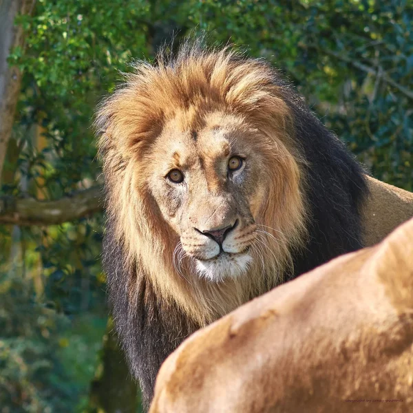 2023-04-21  ZOO-LE_C718217.webp