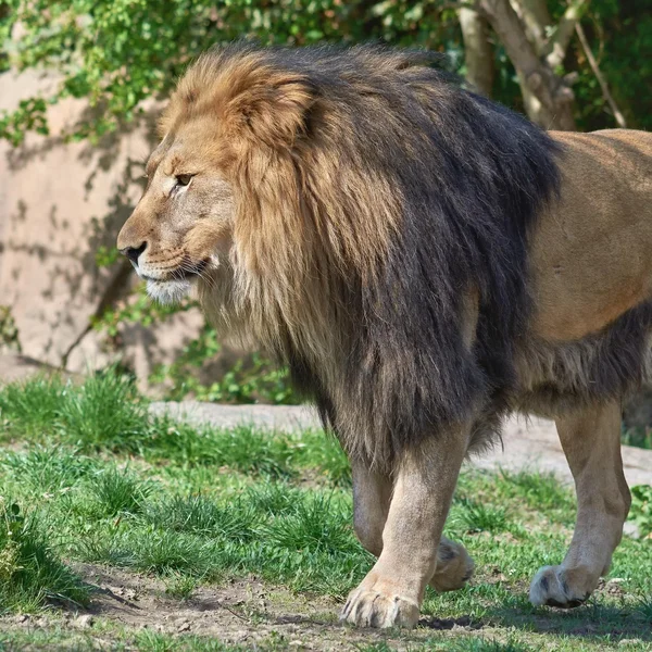 2023-04-21  ZOO-LE_C718465.webp